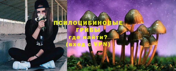 амф Алексин