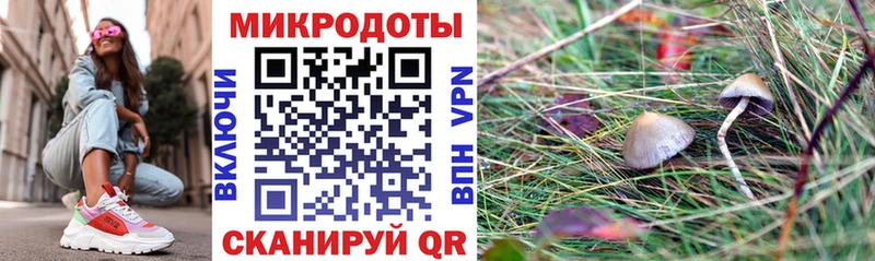 Галлюциногенные грибы Cubensis  мега   Далматово 